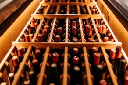 Turismo do vinho em São Roque impulsiona viagens e transforma a região em referência próxima de São Paulo