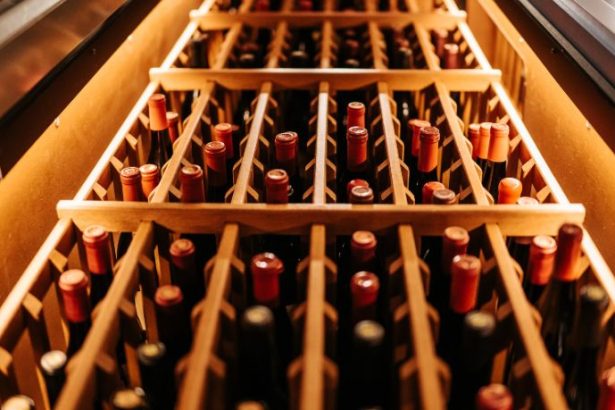 Turismo do vinho em São Roque impulsiona viagens e transforma a região em referência próxima de São Paulo