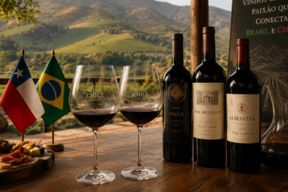 A consolidação do mercado nacional como eixo estratégico para o comércio de vinhos importados na América Latina