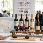 Vinhos brasileiros ganham espaço na Costa Rica: o que a presença na Expo Vino revela sobre o mercado nacional