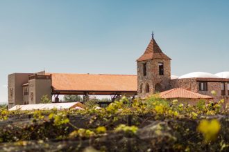 Vinícola histórica de arquitetura rústica cercada por vinhedos.