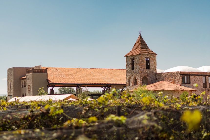 Vinícola histórica de arquitetura rústica cercada por vinhedos.