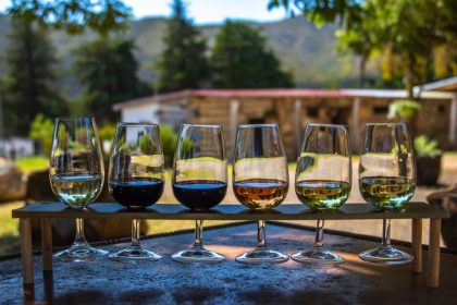 Taças de vinho alinhadas ao ar livre, com um vinhedo ao fundo.
