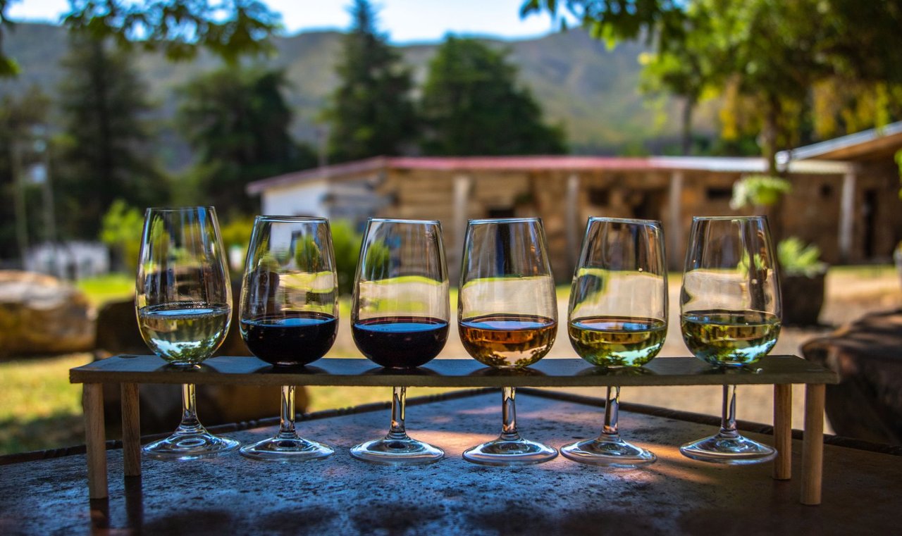 Taças de vinho alinhadas ao ar livre, com um vinhedo ao fundo.